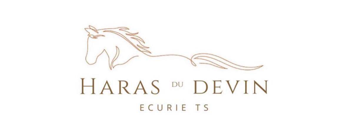 Haras du Devin- Ecurie TS